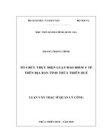 Tổ chức thực hiện luật bảo hiểm y tế trên địa bàn tỉnh Thừa Thiên Huế