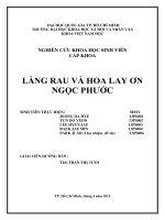 Làng rau và hoa lay ơn ngọc phước    nghiên cứu khoa học sinh viên cấp khoa   