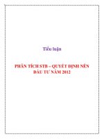 Tiểu luận: Phân tích STB - Quyết định nên đầu tư năm 2012