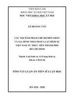 Tóm tắt luận án Tiến sĩ Luật học: Các tội xâm phạm chế độ hôn nhân và gia đình theo pháp luật hình sự Việt Nam từ thực tiễn thành phố Hồ Chí Minh