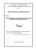 Báo cáo phân tích xu hướng công nghệ: Công nghệ sinh học trong nghiên cứu phát triển vaccine cho nuôi trồng thủy sản