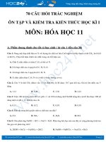 70 câu hỏi trắc nghiệm ôn tập và kiểm tra HK1 môn Hóa 11