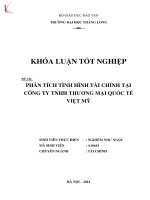 Khóa luận tốt nghiệp: Phân tích tình hình tài chính tại Công ty TNHH Thương mại quốc tế Việt Mỹ
