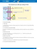 Vận chuyển các chất qua màng tế bào - Sinh học 10