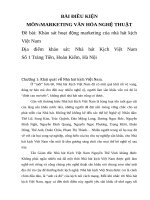 Khảo sát hoạt động marketing của nhà hát kịch Việt Nam