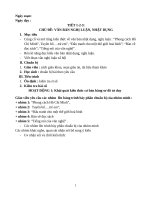 Giáo án dạy ôn thi vào 10 THPT môn ngữ văn