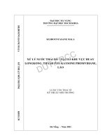 Xử lý nước thải đô thị cho khu vực huay longkong, thành phố kaysone phomvihane, lào