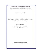 Hiện tượng các ông đạo ở vùng tây nam bộ dưới góc nhìn văn hóa     