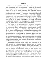 Tóm tắt Luận văn Thạc sĩ Công nghệ thông tin: Nghiên cứu và cài đặt một công cụ trên nền tảng Eclipse để hỗ trợ phát triển các ứng dụng Java