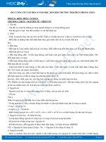 Đề cương ôn tập HK2 năm 2020 môn Hóa học 8 Trường TH&THCS Phong Châu