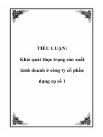 TIỂU LUẬN: Khái quát thực trạng sản xuất kinh doanh ở công ty cổ phần dụng cụ số 1