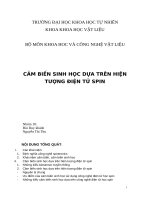 Đề tài nghiên cứu khoa học: Cảm biến sinh học dựa trên hiện tượng điện tử Spin