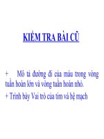 bai 17tim va mach mau