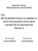 Báo cáo tốt nghiệp: Điều tra thành phần sâu hại và xác định hiệu lực trừ sâu vẽ bùa hại bưởi da xanh của một số loại thuốc trừ sâu tại huyện Đức Huệ tỉnh Long An