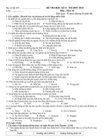 họ và tên hv họ và tên hv đề thi học kì ii nh 2009 2010 lớp môn địa 10 thời gian 45 phút không kể phát đề i trắc nghiệm khoanh tròn vào phương án trả lời đúng nhất 4 0đ 1 sự phân bố các ngành dịch