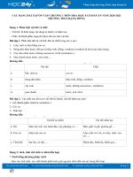 Các dạng bài tập Chương 1 môn Hóa học 8 có đáp án năm 2020 Trường THCS Rạng Đông