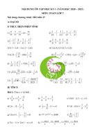 Đề cương Toán 7 học kì 1 Trường THCS Tô Hoàng năm 2020 - Ươm mầm