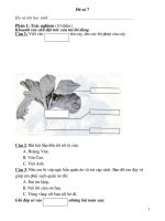 de giao luu hoc sinh gioi lop 1