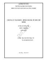 Chung cư mansion bình chánh tp hồ chí minh 