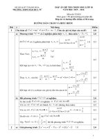 Đề thi chọn học sinh giỏi lớp 10 năm 2015-2016 môn Toán - Trường THPT Đào Duy Từ (Phần đáp án)