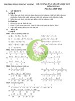 Đề cương ôn tập giữa học kì 2 Toán 8 Trưng Vương năm học 2020 - 2021