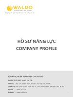 HỒ SƠ NĂNG LỰC COMPANY PROFILE SƠN NGHỆ THUẬT & SƠN HIỆU ỨNG WALDO WALDO TEXTURED PAINT