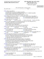 Đề thi kiểm tra giữa HK 2 môn Địa lí lớp 10 - THPT Nguyễn Văn Cừ - Mã đề 002