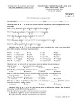 Đề kiểm tra chất lượng giữa HK 2 môn tiếng Anh lớp 10 - THPT Nguyễn Văn Cừ - Mã đề 017