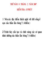 slide 1 thöù naêm 8 thaùng 2 naêm 2007 kieåm tra 15 phuùt 1 neâu caùc ñaëc ñieåm thích nghi vôùi ñôøi soáng ôû caïn cuûa thaèn laèn boùng 4 ñieåm 2 trình baøy caáu taïo vaø chöùc naêng caùc cô