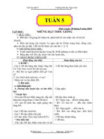 Giao an lop 4 tuan 5 CKTKNS