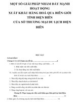 MỘT SỐ GIẢI PHÁP NHẰM ĐẨY MẠNH HOẠT ĐỘNG XUẤT KHẨU HÀNG HOÁ QUA BIÊN GIỚI TỈNH ĐIỆN BIÊN CỦA SỞ THƯƠNG MẠI DU LỊCH ĐIỆN BIÊN