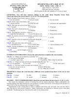 Đề kiểm tra giữa HK 2 môn tiếng Anh lớp 11 năm 2017-2018 - THPT Chuyên Lương Thế Vinh - Mã đề 113