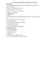 Đề ôn tập Ngữ văn 6 (Tuần 23,...