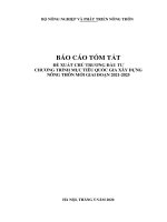 BÁO CÁO TÓM TẮT ĐỀ XUẤT CHỦ TRƯƠNG ĐẦU TƯ CHƯƠNG TRÌNH MỤC TIÊU QUỐC GIA XÂY DỰNG NÔNG THÔN MỚI GIAI ĐOẠN 2021-2025