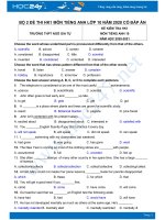 Bộ 2 đề thi HK1 môn Tiếng Anh lớp 10 năm 2020 Trường THPT Ngô Gia Tự