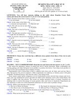 Đề kiểm tra giữa HK 2 môn tiếng Anh lớp 11 năm 2017-2018 - THPT Chuyên Lương Thế Vinh - Mã đề 111