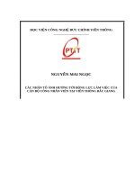 Các nhân tố ảnh hưởng tới động lực làm việc của cán bộ công nhân viên tại viễn thông bắc giang 