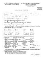 Đề kiểm tra chất lượng giữa HK 2 môn tiếng Anh lớp 10 - THPT Nguyễn Văn Cừ - Mã đề 001