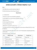 Bài tập tự luận ôn tập chuyên đề Sinh sản hữu tính ở động vật Sinh học 11