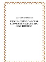 SKKN: Biện pháp nâng cao chất lượng chữ viết cho học sinh tiểu học
