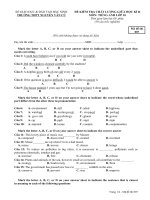 Đề kiểm tra chất lượng giữa HK 2 môn tiếng Anh lớp 10 - THPT Nguyễn Văn Cừ - Mã đề 007