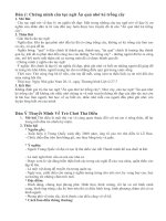 Ôn tập Văn 8 (3)