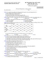 Đề thi kiểm tra giữa HK 2 môn Địa lí lớp 10 - THPT Nguyễn Văn Cừ - Mã đề 004