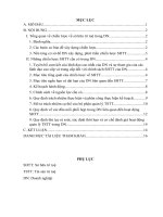 Phân tích các chiến lược về sở hữu trí tuệ cần có trong doanh nghiệp