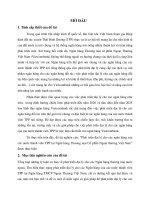 Phát triển đại lý cho các ngân hàng của các nước thành viên TPP tại ngân hàng thương mại cổ phần ngoại thương việt nam (tt) 