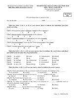 Đề kiểm tra chất lượng giữa HK 2 môn tiếng Anh lớp 10 - THPT Nguyễn Văn Cừ - Mã đề 002