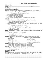 De tieng viet HKII b4