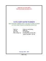 Sáng kiến kinh nghiệm Mầm non: Một số kinh nghiệm nâng cao chất lượng vệ sinh an toàn thực phẩm tại trường mầm non