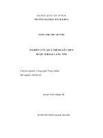 Nghiên cứu quá trình lên men rượu khoai lang tím  