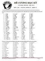 Đề cương ôn tập học kì 2 môn Anh lớp 12 năm 2020 - 2021 THPT Xuân Đỉnh | Tiếng Anh, Lớp 12 - Ôn Luyện